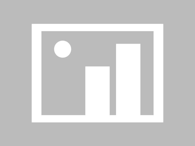 开云网页版-特色战术：各队独门绝技一网打尽，特种部队战术队形